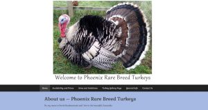 Phoenix Rare Breed Turkeys